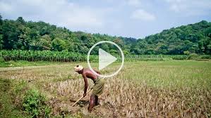 images of healthy field soils,south india, க்கான பட முடிவு