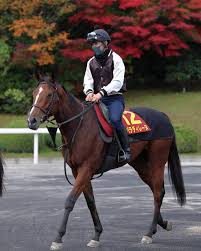 News source: Yahoo!ニュース