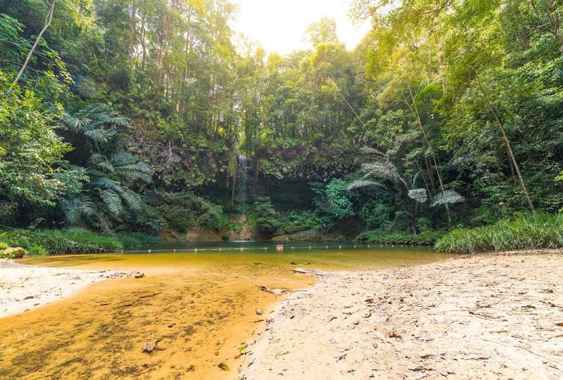 Taman Negara Bukit Lambir