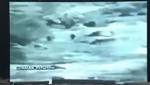 شاهد بالفيديو فضائح الحوثي استخدام