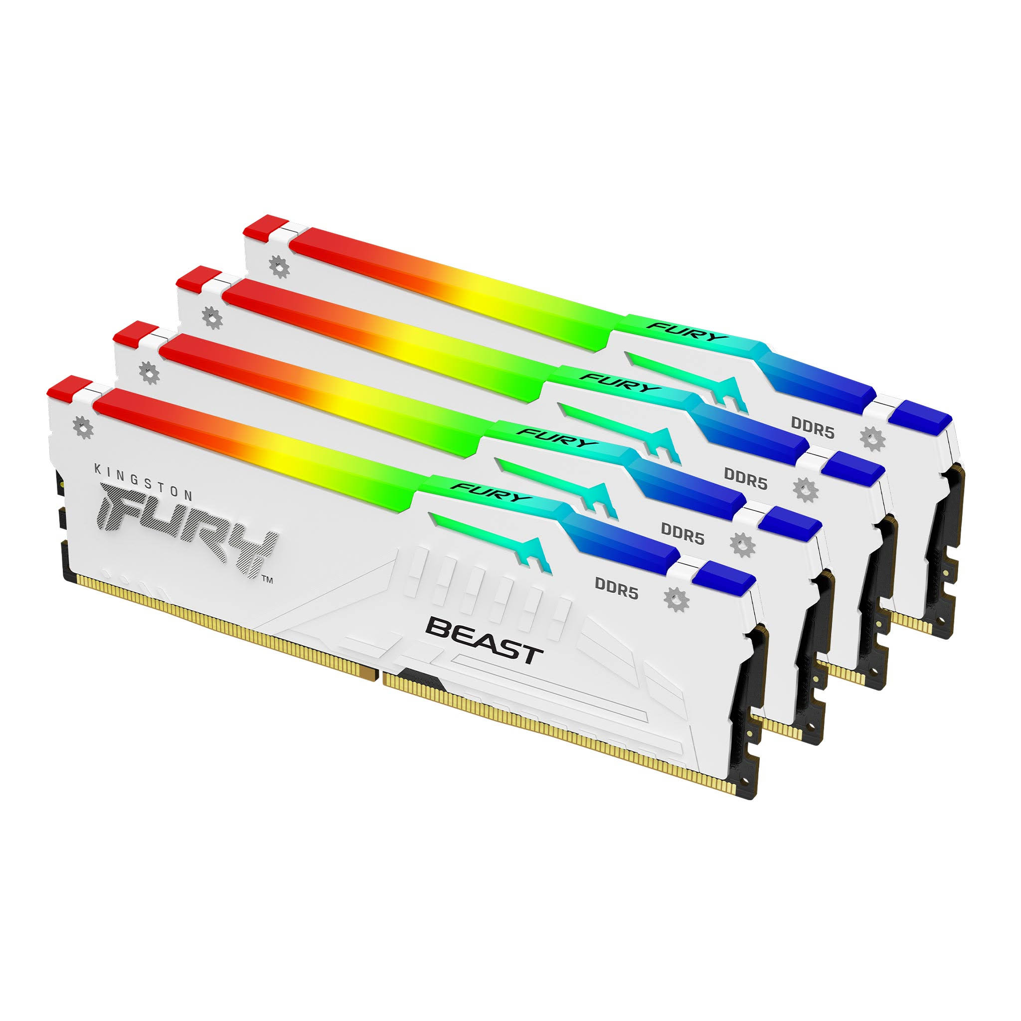 Kingston DDR5 FURY Beast RGB