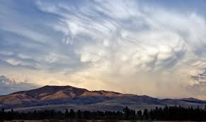 Image result for Mammatus cloud
