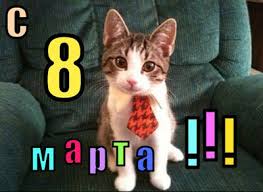 images?q=tbn:ANd9GcQzgfwbpmfKuqwVBDsoikO