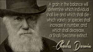 Charles Darwin Quotes II via Relatably.com