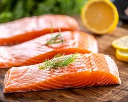 Gambar Salmon fish