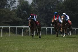 A Look At Horse Racing Growth In Kenya Ahead Of Last Race Of 2025 Uhuru Cup