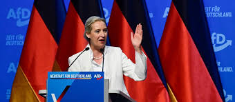 afd-parteitag