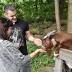 Cemetery hosts 'Goatstock' to raise money for beloved animals ...