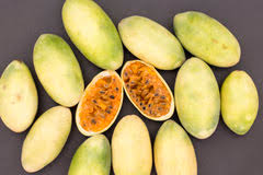 Bildergebnis für Tumbo frucht