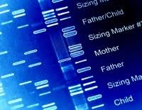 Potential Protection Against Familial Alzheimer's Disease with One Copy of the Christchurch Variant - 1