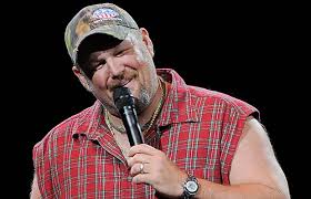 Image result for larry the cable guy