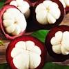 Gambar kisah untuk Kulit Buah Manggis Dan Manfaatnya dari KabarDunia.com