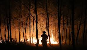 Wildfire in Andalusia has killed 12, 23 reported missing as authorities battle flames