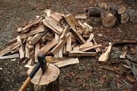 Image result for fire wood