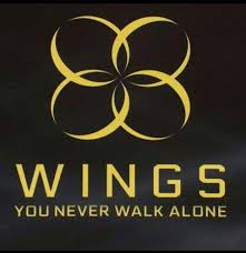 Image result for YOU NEVER WALK ALONE BTS