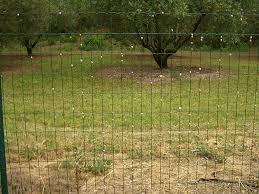Image result for non climb fence