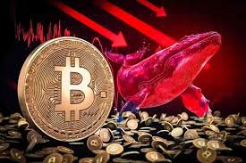 معامله نهنگ بیت کوین با اهرم ۴۰ برابری روی سقوط بازار|بازار