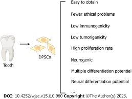 Dental Pulp Stem Cells: A Novel Approach for Regenerating Peripheral Nerves and Beyond