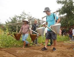 Hội An xây dựng tuyến tham quan xanh tại làng rau Trà Quế