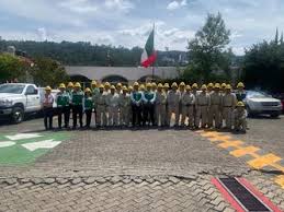 Huracán Polo: CFE despliega mil 320 electricistas ante posibles afectaciones