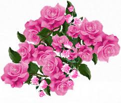 نتیجه تصویری برای تبریک سال تحصیلی ۹۴