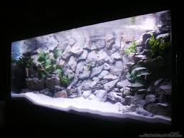 Aquarium von Sebastian Wolfgruber: Becken 2736 - 330c9c0c6b776f9861867910d6d81367