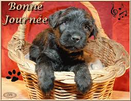 Résultat de recherche d'images pour "bonne journée froid"