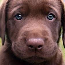 Resultado de imagen para imagenes cute