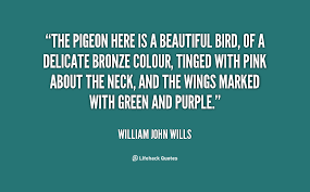 William John Wills Quotes. QuotesGram via Relatably.com