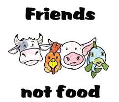 Image result for vegetarian