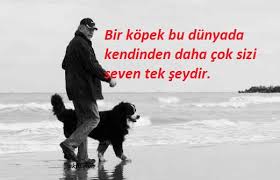 hayvan sevgisi ile ilgili sözler ile ilgili görsel sonucu