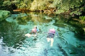 Afbeeldingsresultaat voor bonito brazil