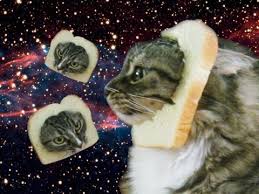 Bildergebnis für cat bread