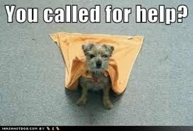 Funny Dog Poems | Funny LOL Picture via Relatably.com