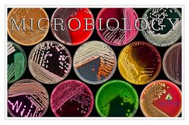 Image result for MICROBIOLOGY