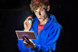 Image result for the curious incident of the dog in the nighttime