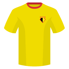 Bristol City x Watford FC palpite & pdds | 27.02.2026