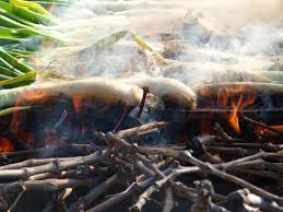 Zeit für Calçots auf Mallorca