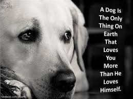 I LOVE my dog! | Favorite Dog Quotes | Pinterest | Dogs, Love My ... via Relatably.com