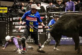 The Morning Line – Red Deer — The Professional Bull Riders