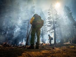 Burnover Incident on Western Colorado Wildfire Results in Federal Wildland Firefighter Injuries and Fatalities