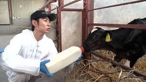 相葉マナブ、ついに北海道へ！3週連続SPで魅力を満喫！ - Imagen principal del artículo