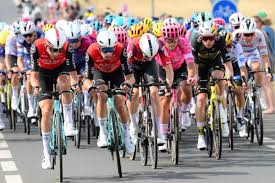Vauquelin Révélation du Tour! Victoire d'étape en Vue? - Imagen principal del artículo