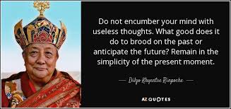 Dilgo Khyentse Rinpoche quote: Do not encumber your mind with ... via Relatably.com