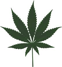 Résultat de recherche d'images pour "cannabis leaf"