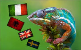 Risultati immagini per lingue straniere