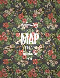 flower, lyric, lyrics, maps, maroon 5, music, quotes, travel ... via Relatably.com