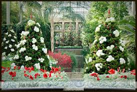 Image result for longwood gardens christmas conservatory