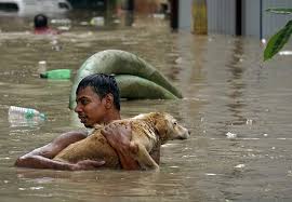 தொடரட்டும் மனிதநேயம்