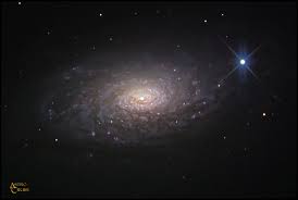 Image result for galaxy m63